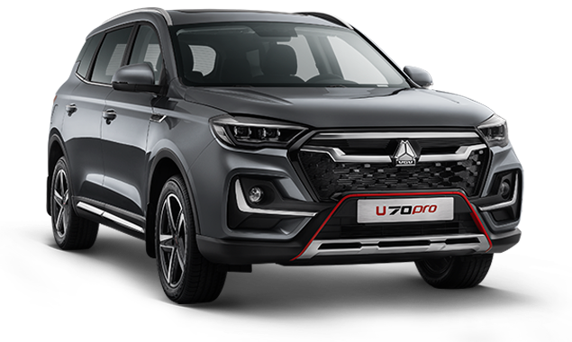 Тройное преимущество - фото авто детальное